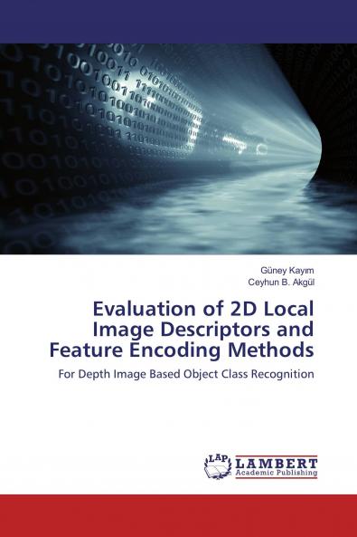 Evaluation of 2D Local Image Descriptors and Feature Encoding Methods