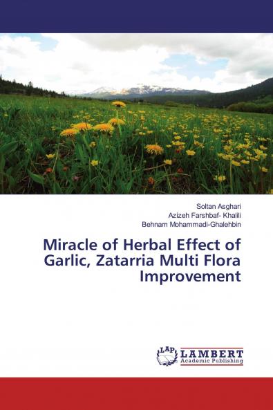 Miracle of Herbal Effect of Garlic Zatarria Multi Flora Improvement