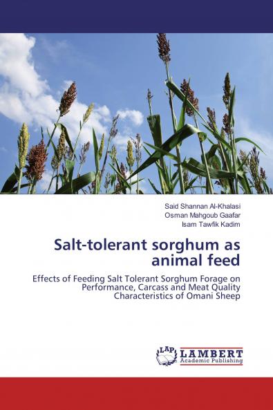 Salt-tolerant sorghum as animal feed