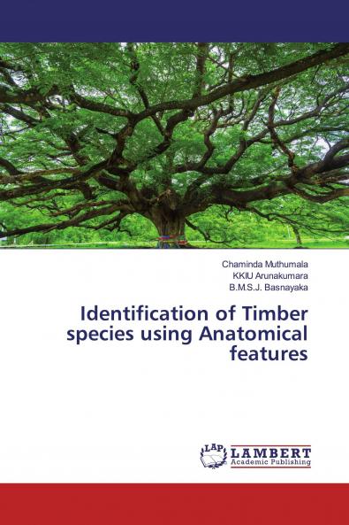 Identification of Timber species using Anatomical features