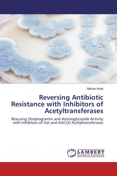 Reversing Antibiotic Resistance with Inhibitors of Acetyltransferases