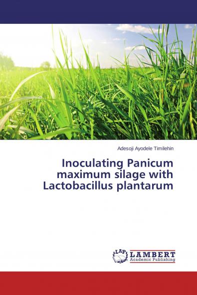 Inoculating Panicum maximum silage with Lactobacillus plantarum