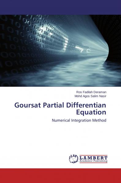 Goursat Partial Differentian Equation