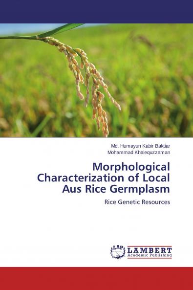 Morphological Characterization of Local Aus Rice Germplasm