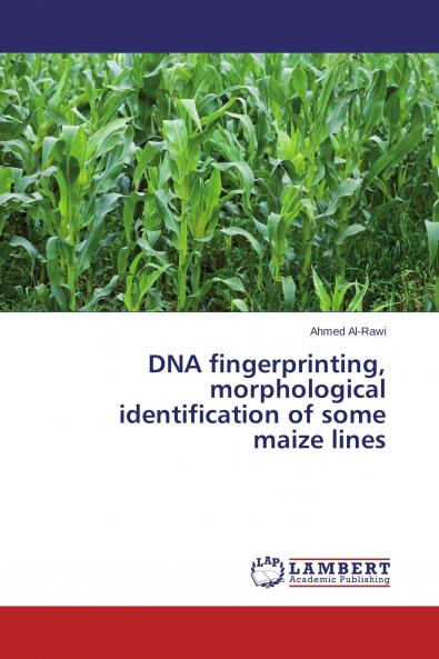 DNA fingerprinting morphological identification of some maize lines