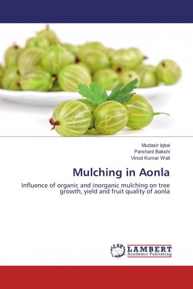 Mulching in Aonla
