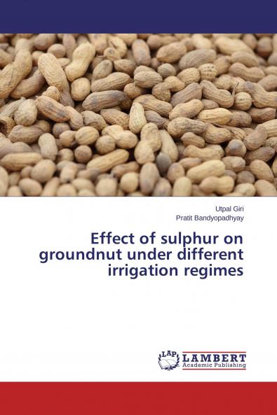Effect of sulphur on groundnut under different irrigation regimes