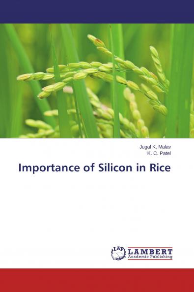 Importance of Silicon in Rice