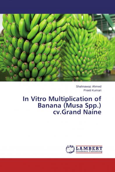 In Vitro Multiplication of Banana (Musa Spp.) cv.Grand Naine