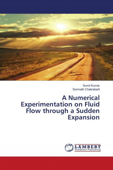 A Numerical Experimentation on Fluid Flow through a Sudden Expansion