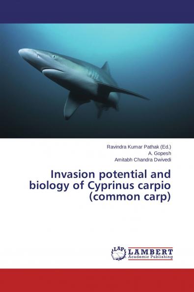 Invasion potential and biology of Cyprinus carpio (common carp)