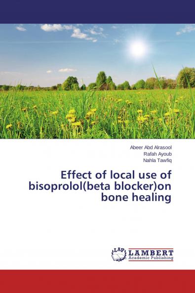 Effect of local use of bisoprolol(beta blocker)on bone healing