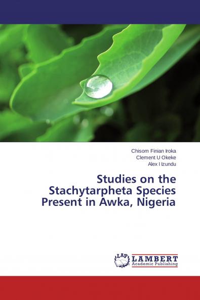 Studies on the Stachytarpheta Species Present in Awka Nigeria