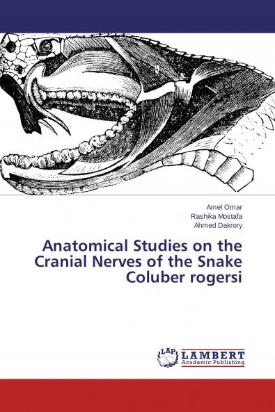 Anatomical Studies on the Cranial Nerves of the Snake Coluber rogersi