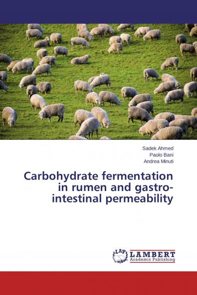 Carbohydrate fermentation in rumen and gastro-intestinal permeability