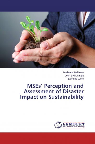 MSEs' Perception and Assessment of Disaster Impact on Sustainability