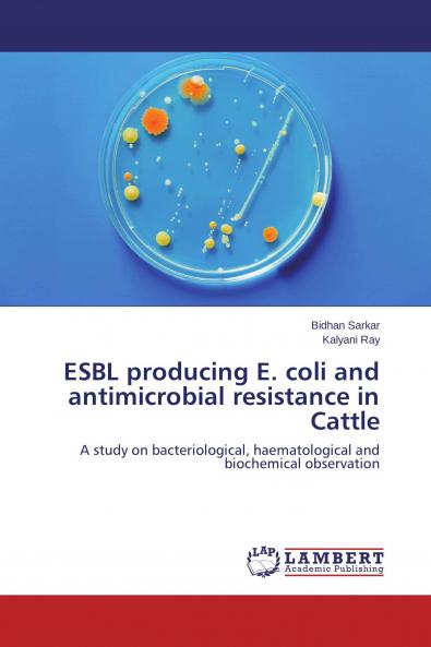 ESBL producing E. coli and antimicrobial resistance in Cattle
