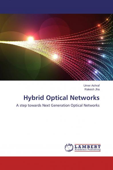 Hybrid Optical Networks