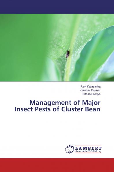 Management of Major Insect Pests of Cluster Bean