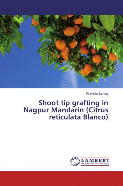Shoot tip grafting in Nagpur Mandarin (Citrus reticulata Blanco)