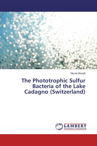 The Phototrophic Sulfur Bacteria of the Lake Cadagno (Switzerland)