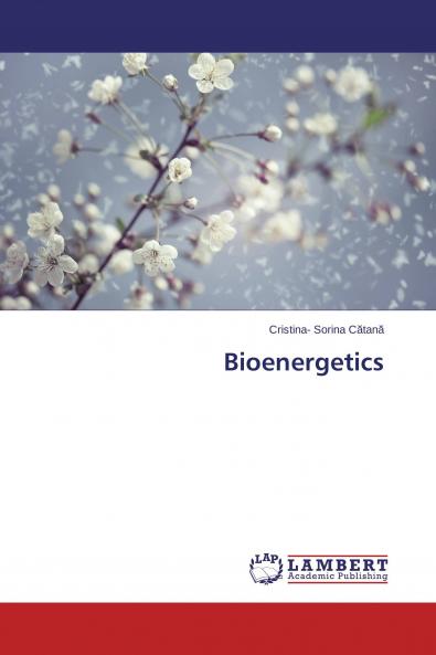 Bioenergetics