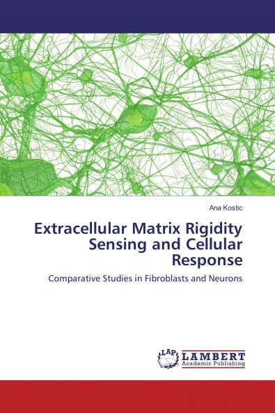Extracellular Matrix Rigidity Sensing and Cellular Response