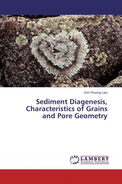 Sediment Diagenesis Characteristics of Grains and Pore Geometry