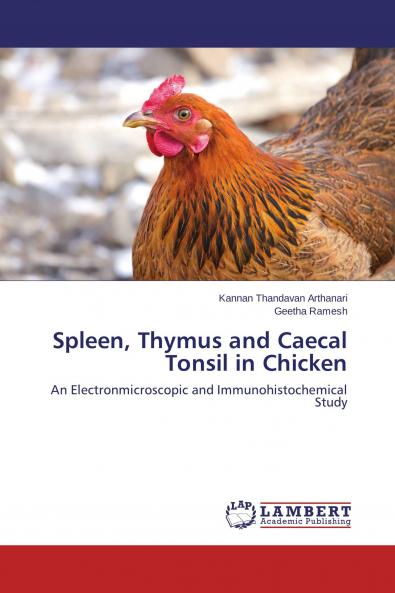 Spleen Thymus and Caecal Tonsil in Chicken