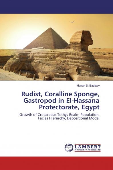Rudist Coralline Sponge Gastropod in El-Hassana Protectorate Egypt