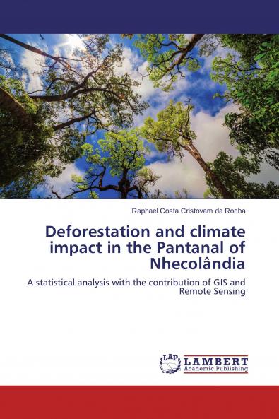 Deforestation and climate impact in the Pantanal of Nhecol��ndia