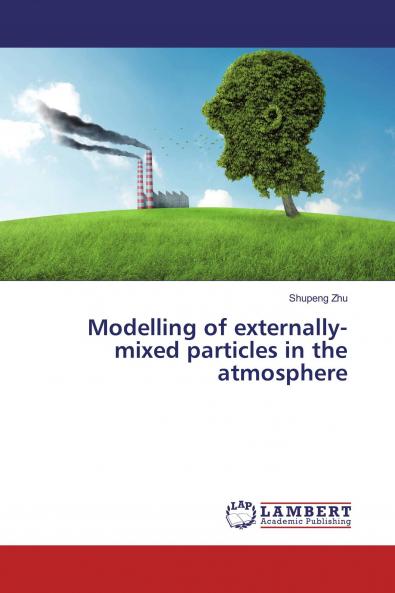 Modelling of externally-mixed particles in the atmosphere