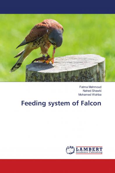 Feeding system of Falcon