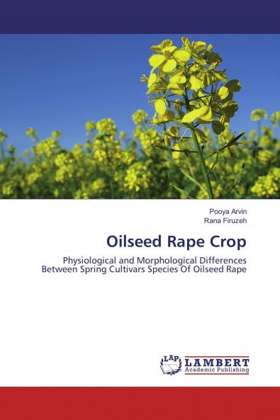 Oilseed Rape Crop