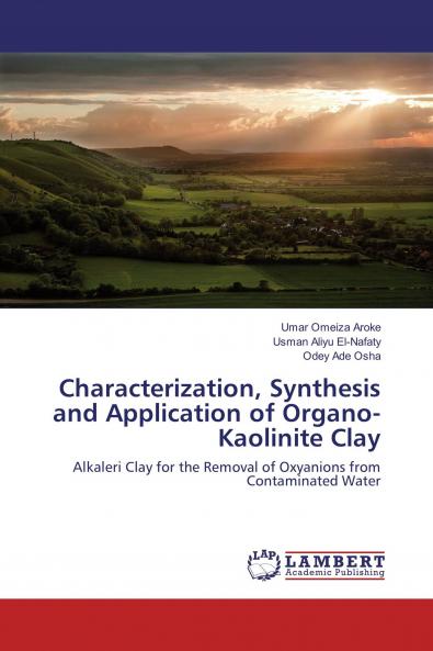 Characterization Synthesis and Application of Organo-Kaolinite Clay