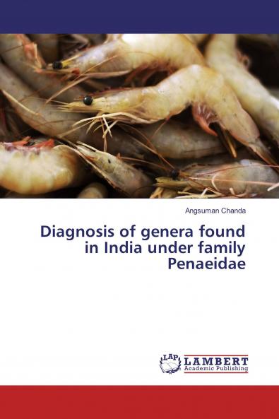 Diagnosis of genera found in India under family Penaeidae