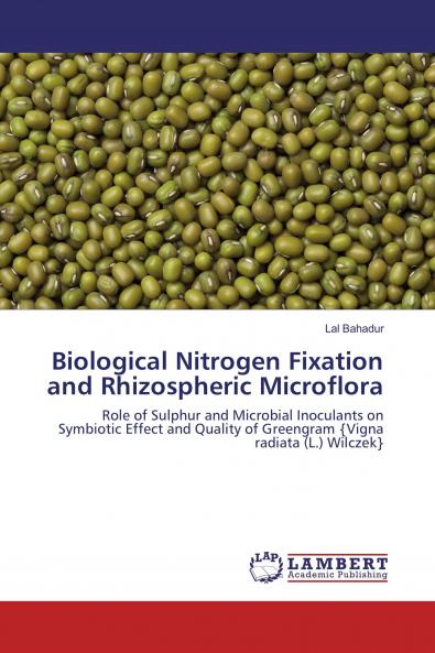 Biological Nitrogen Fixation and Rhizospheric Microflora