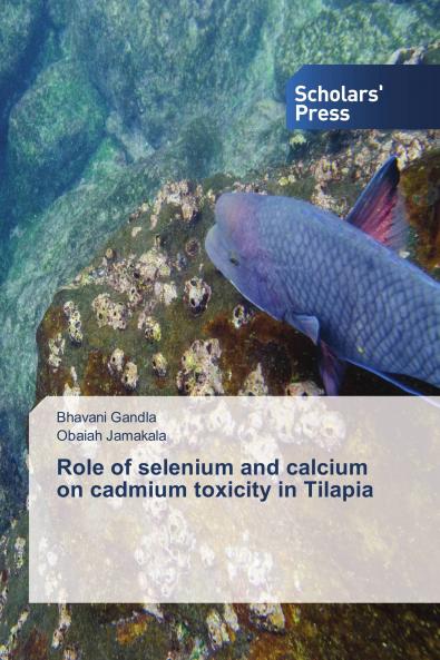 Role of selenium and calcium on cadmium toxicity in Tilapia