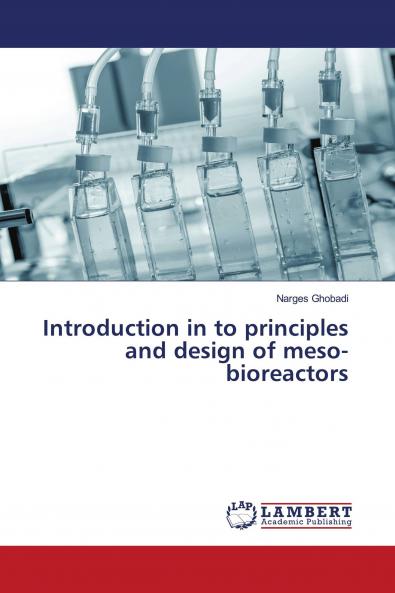 Introduction in to principles and design of meso-bioreactors