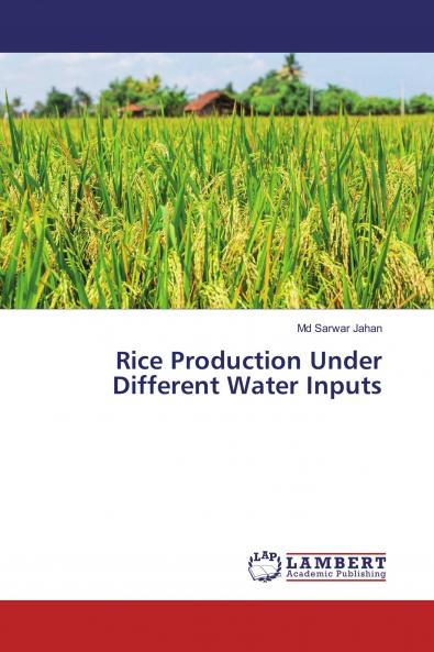 Rice Production Under Different Water Inputs