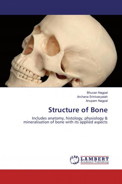 Structure of Bone