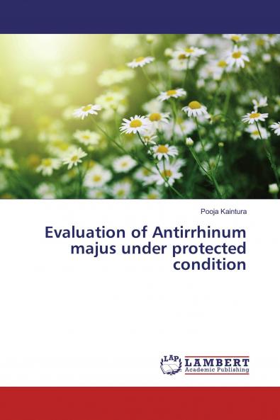Evaluation of Antirrhinum majus under protected condition