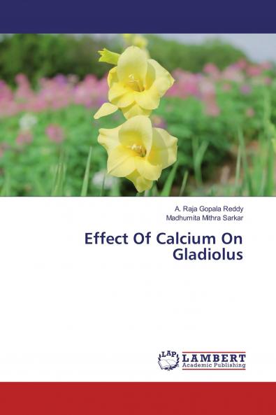 Effect Of Calcium On Gladiolus