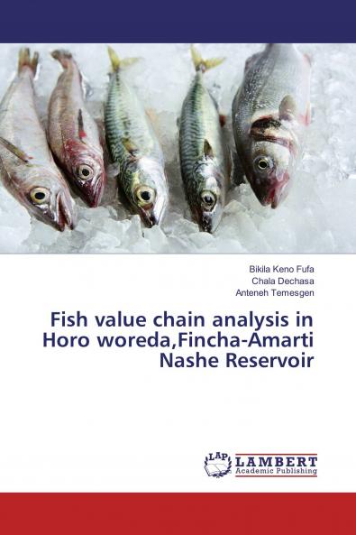 Fish value chain analysis in Horo woredaFincha-Amarti Nashe Reservoir