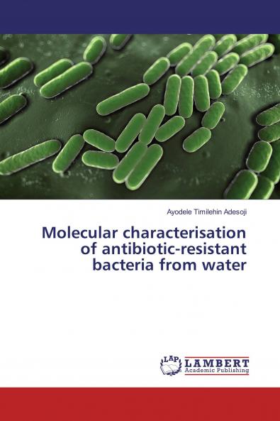 Molecular characterisation of antibiotic-resistant bacteria from water