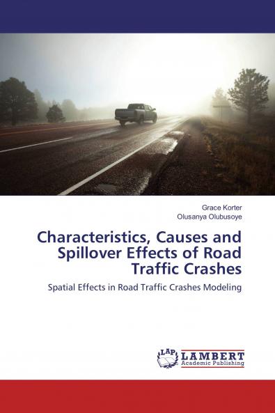 Characteristics Causes and Spillover Effects of Road Traffic Crashes