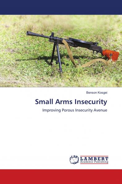 Small Arms Insecurity