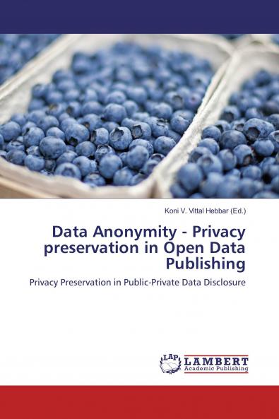 Data Anonymity - Privacy preservation in Open Data Publishing