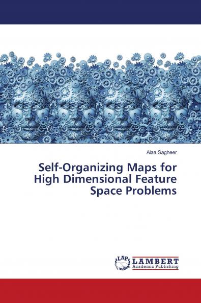 Self-Organizing Maps for High Dimensional Feature Space Problems