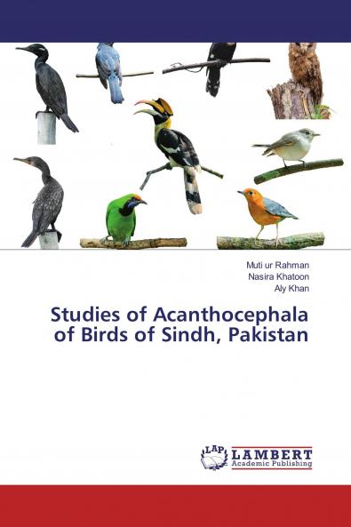 Studies of Acanthocephala of Birds of Sindh Pakistan